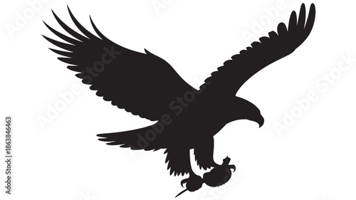 Eagle Silhouette Flying with Prey in Dramatic Dark Tone on White Background for Wildlife Illustration