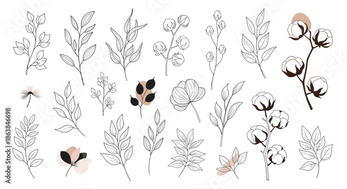 Elegant collection of hand-drawn botanical sketches including leaves, branches, and cotton flowers with soft colors.