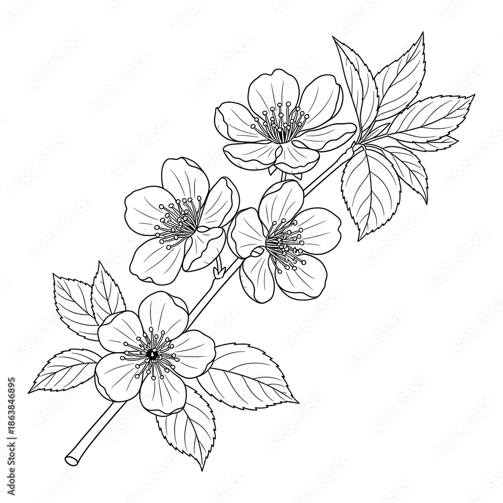 Fototapeta premium Floral Branch Line Art Illustration – Elegant Black and White Blossom Flowers with Leaves in Detailed Botanical Outline Vector Design