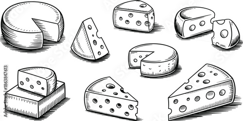 Hand drawn cheese illustration set, vintage engraved dairy products collection, artisanal cheese varieties, food sketch style culinary design
