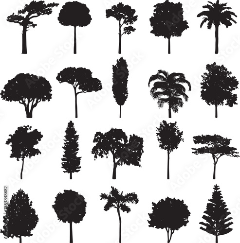 A detailed vector illustration showcasing a solitary tree possibly a silhouette created with adobe illustrator