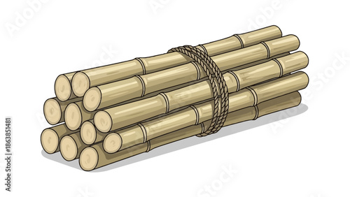 Bamboo sticks tied together with rope on white background