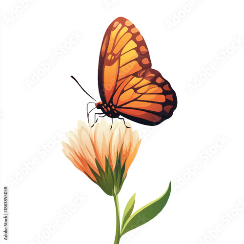 Orange butterfly perched on a delicate flower.