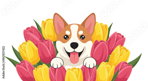 A happy corgi dog peeks out from the middle of a large and beautiful bouquet of pink and yellow spring tulips.