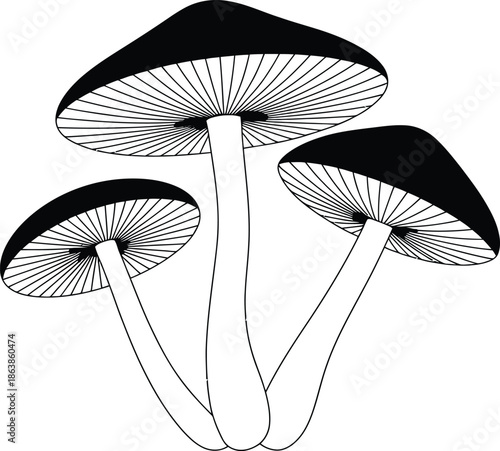 Black and white mushroom silhouette illustration vector set white background