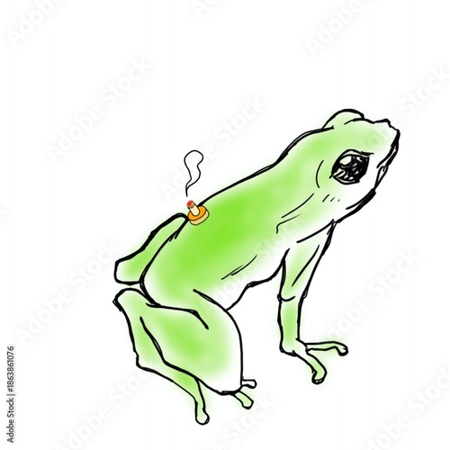 お灸をするカエル