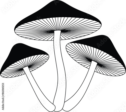 Black and white mushroom silhouette illustration vector set white background