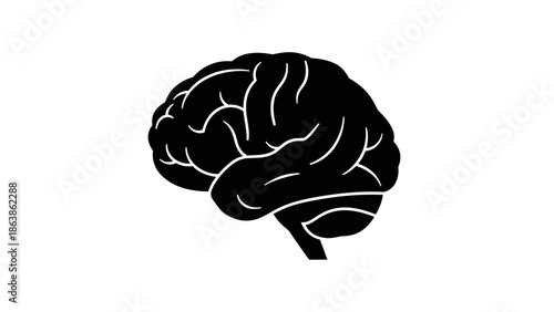 Human brain silhouette icon isolated on white background, vector illustration."