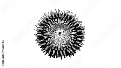 Sea anemone silhouette icon, underwater coral reef organism vector illustration