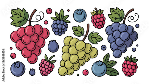 Assorted Berries and Grapes: A delightful illustration showcases a medley of fresh grapes and assorted berries in an attractive illustration