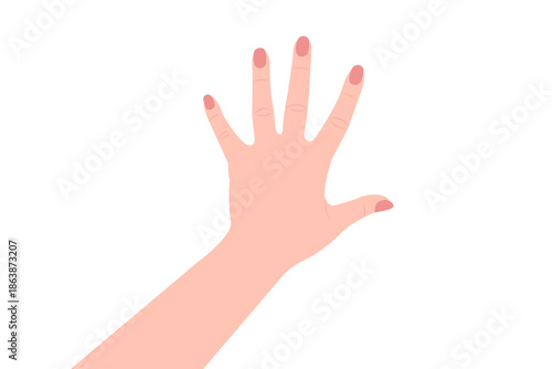 woman hand isolated on white, vector