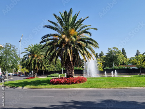 modern roundabout with a fountain, palm trees and trees