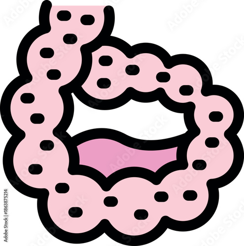 Small intestine absorbing nutrients through villi, playing a crucial role in digestion