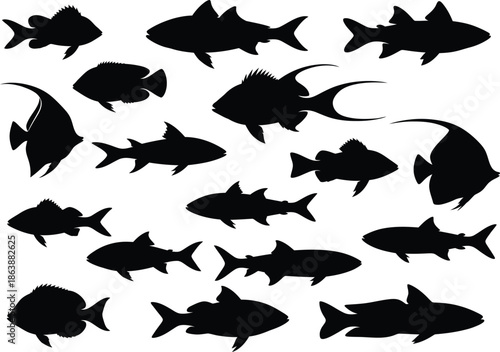 Diverse silhouettes of marine life: a collection of fish species
