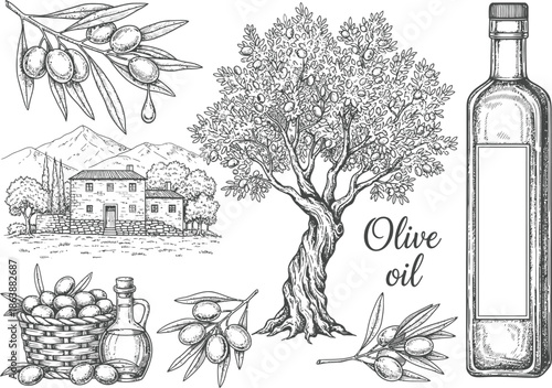 Traditional olive oil production in a mediterranean landscape
