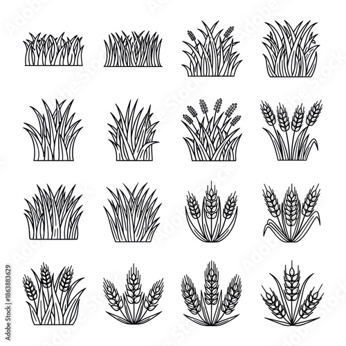 Collection of Grass and Wheat Illustrations in Black and White.