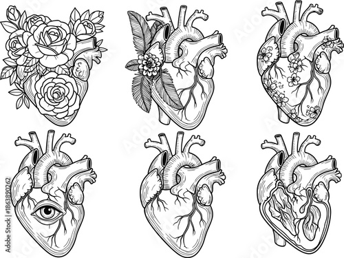 Anatomical heart silhouette collection, floral surreal vector icons, medical art design, cad drawing flat vector illustration, black graphic anatomy