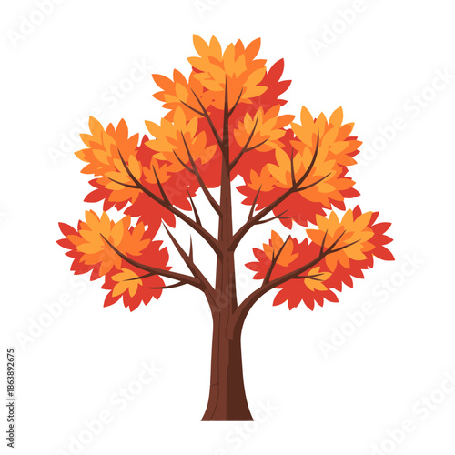 Vibrant Autumn Tree with Orange and Red Leaves - Isolated on White