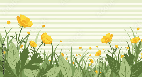 Field of vibrant yellow buttercups growing amongst green grass and leaves against a light green striped background for a spring theme.