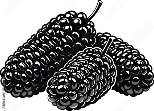  A Vector cluster of mulberries blackberries isolated on transparent background AI Generative