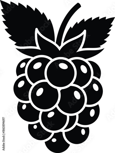 Blackberry Fruit Silhouette isolated on transparent background AI Generative