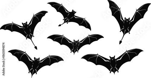 bat, silhouette, flying, vector, black, spooky, Halloween, nocturnal, animal, wings, flight, scary, isolated, design, creature