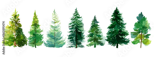 christmas trees isolated on white