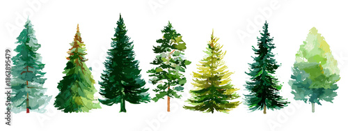 christmas trees isolated on white