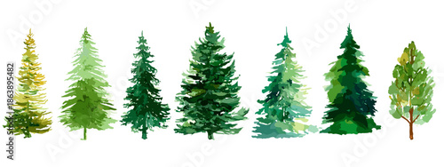christmas trees isolated on white
