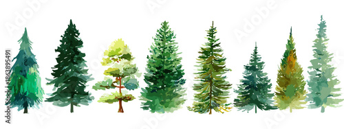 christmas trees isolated on white