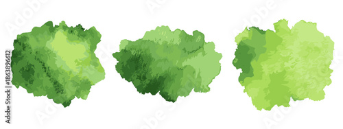 green paint splashes on white