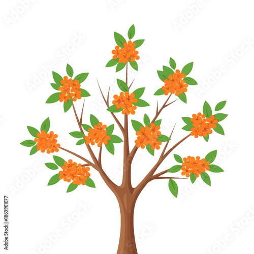 Vibrant Orange Blossom Tree with Lush Green Leaves Isolated on White Background