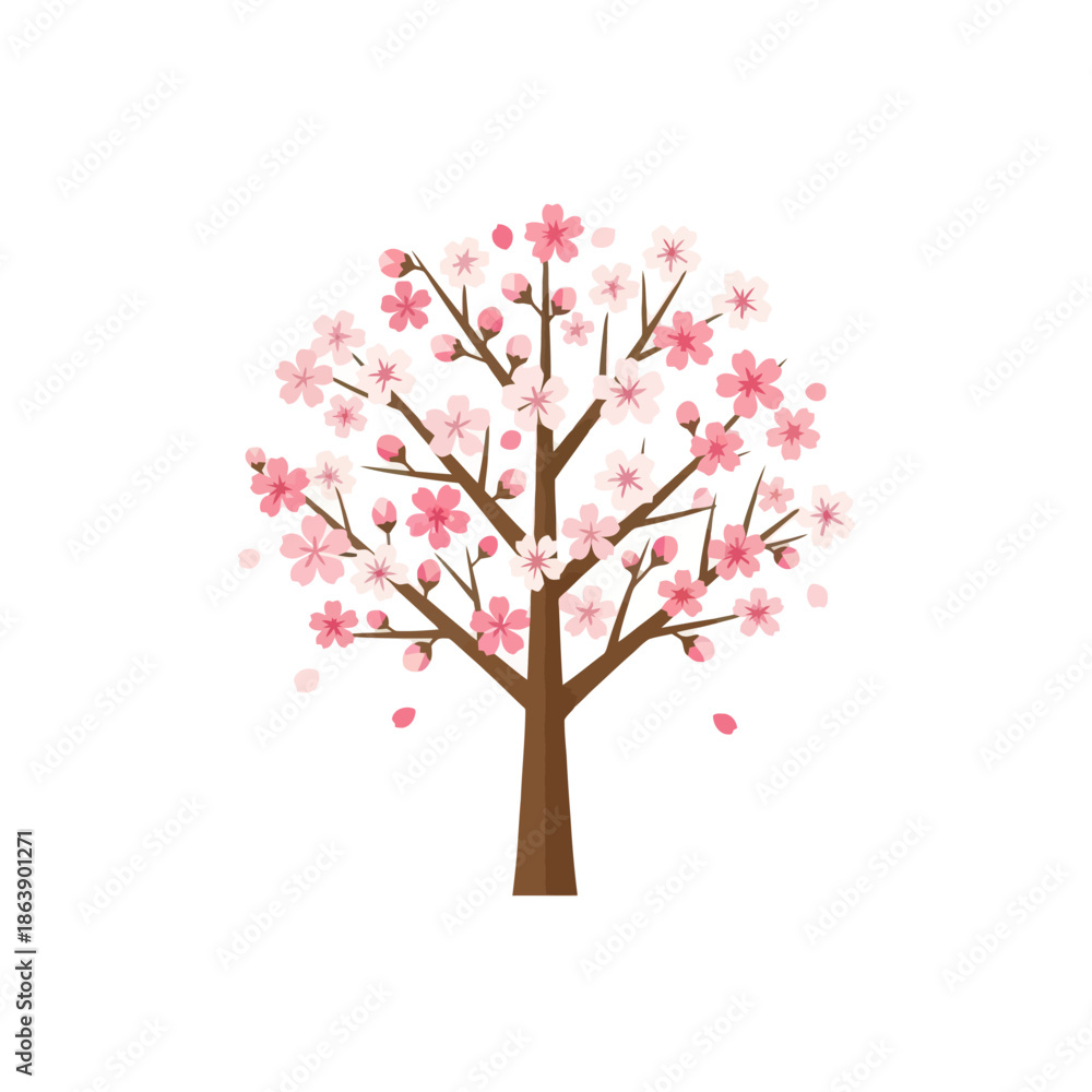 Fototapeta premium Blooming Cherry Blossom Tree with Pink Flowers and Falling Petals, Spring Nature