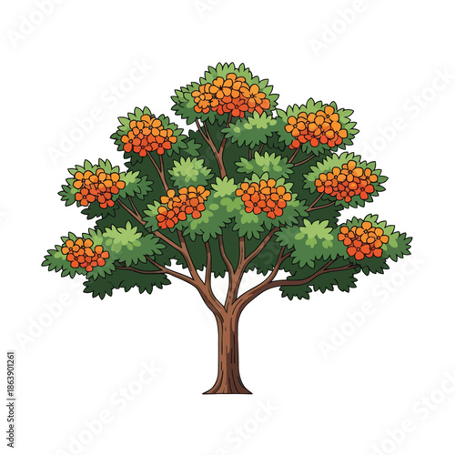 Vibrant Rowan Tree with Orange Berries and Green Leaves Isolated on White Background