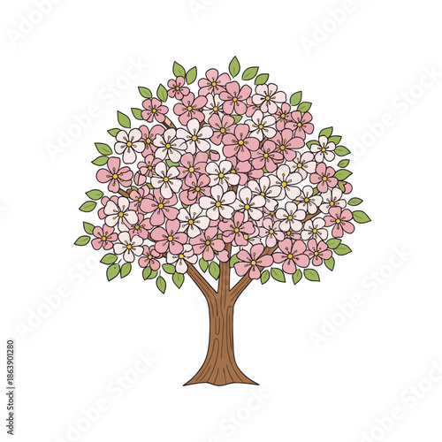 Blooming Cherry Blossom Tree with Pink and White Flowers, Spring Season, Illustration