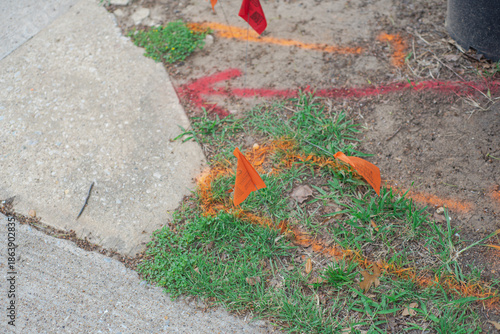 Foto Marked ground area featuring red and orange utility flags and spray painted line
