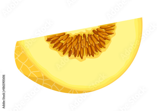 Melon slice vector illustration. Piece of juicy summer fruit isolated on a white background.