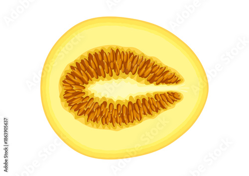 Half a melon, top view. Juicy summer melon isolated on a white background.