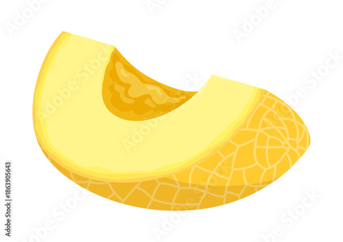 Big slice of melon with the seeds removed. Piece of juicy summer fruit isolated on a white background.