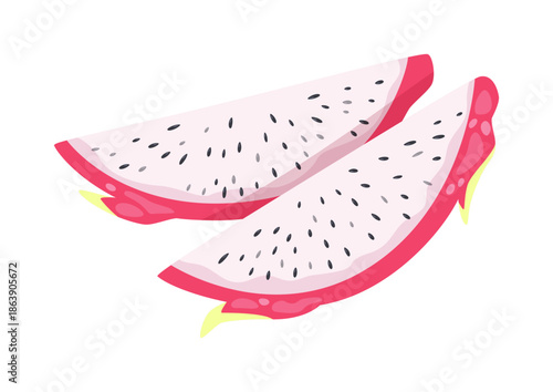 Two slices of dragon fruit, pitaya, or pitahaya. Tropical, exotic, juicy fruit pieces. Vector illustration on a white background.