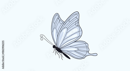 Graceful side view of a butterfly with light blue and white translucent wings and delicate antennae for nature designs.