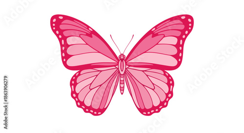 Beautiful pink butterfly illustration with detailed wing patterns isolated on a clean white background for nature and insect design projects.