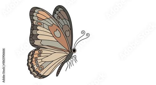 Beautiful side view illustration of a butterfly with elegant brown and tan wing patterns and long delicate antennae.