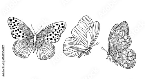 Three beautifully detailed black and white butterflies with intricate wing patterns for coloring pages or nature themed designs.