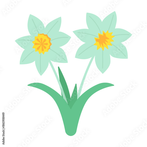 Narcissus isolated on a white background. Colored icon, vector illustration in a flat style. Two flowers.