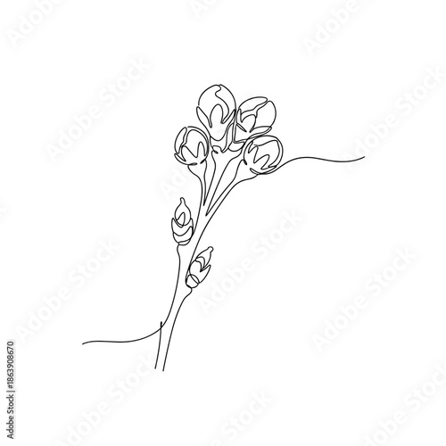 Flower buds on stem in minimalist line art style