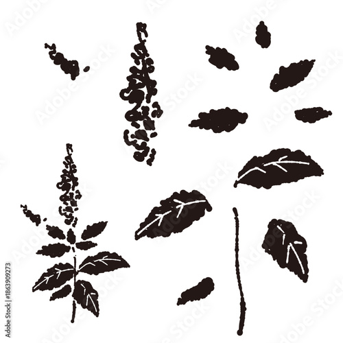 ミントの手書きモノクロイラスト