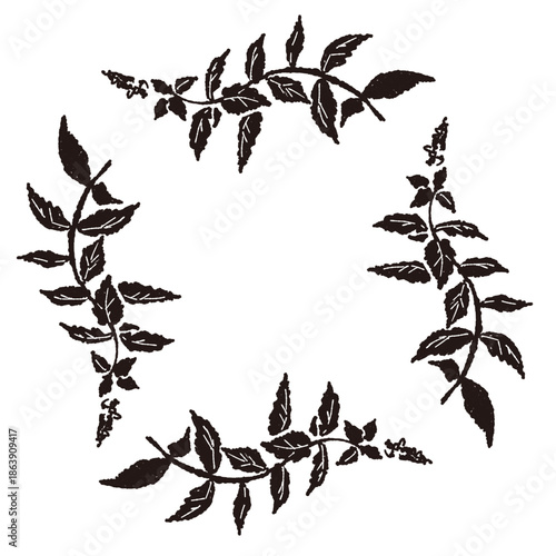 ミントの手書きモノクロイラスト