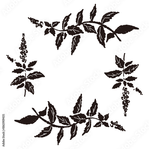 ミントの手書きモノクロイラスト