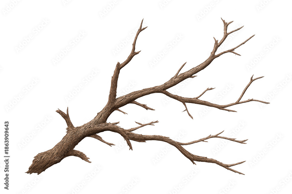 Fototapeta premium Dead tree branch with dry bark on a transparent background, representing nature, decay, and environmental concepts